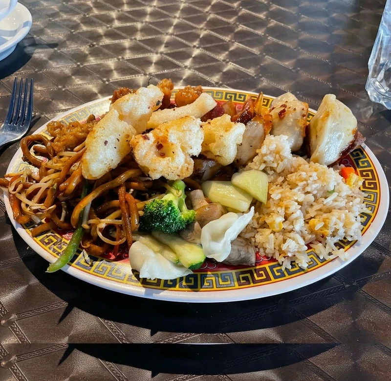 Lunch buffet plate with noodles, dumplings and salt and pepper squid at Leo Fu's on 70 Avenue SW, Calgary